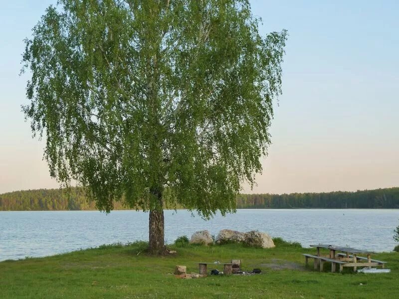 Татыш. Озеро татыш челябинская область. &quot;чистые озера&quot; татыш, ташкуль. ташкуль озеро челябинская область. татыш (озеро, снежинский городской округ).