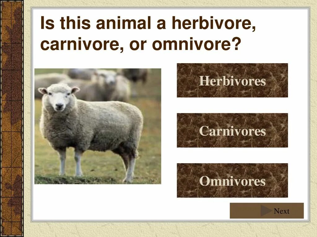 Carnivore перевод. Herbivore Carnivore Omnivore. Herbivore - травоядное Carnivore - Omnivores. Herbivores Carnivores and Omnivores. Herbivore Carnivore Omnivore Worksheet.