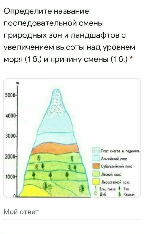 Высотная поясность гор Кавказа. Высотная поясность кавказских гор. Схема ВЫСОТНОЙ поясности крымских гор. Высотная поясность в горах.