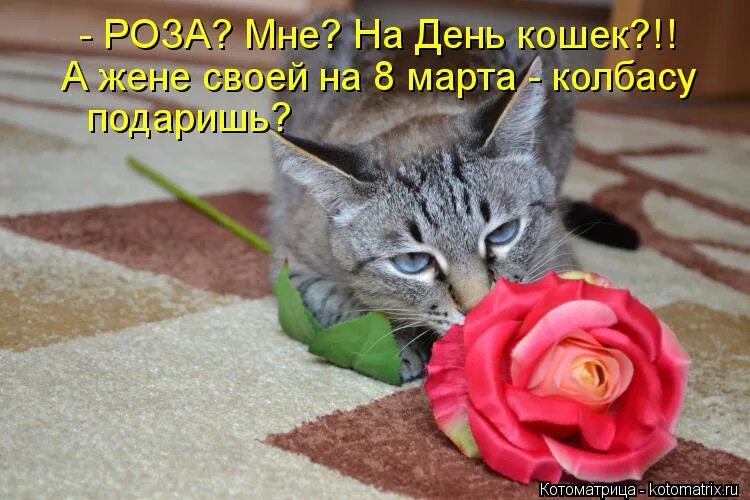 волан де морт мемы. сегодня виноватый. сегодня виноватый. кто виноват и что делать. сама виновата.