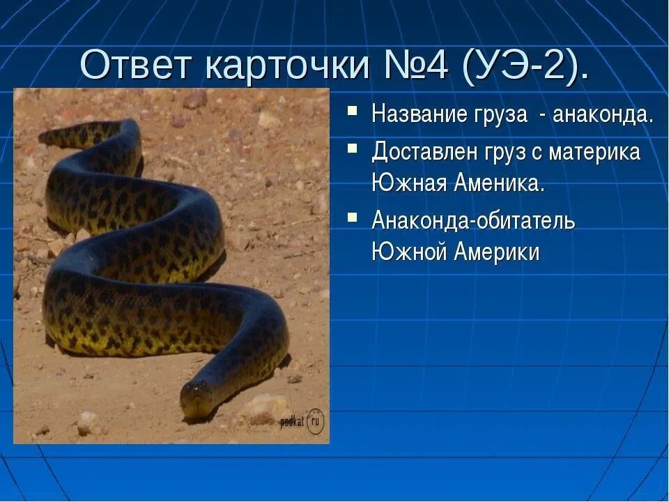 Мадонна по факту анаконда. Анаконда презентация. Анаконда информация. Сообщение про анаконду. Анаконда доклад.