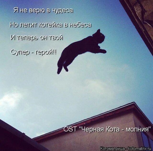 Апфс я не верю в бога. Верю в чудеса. не верю в чудеса. я больше не верю в чудеса. я не верю в чудеса фото.