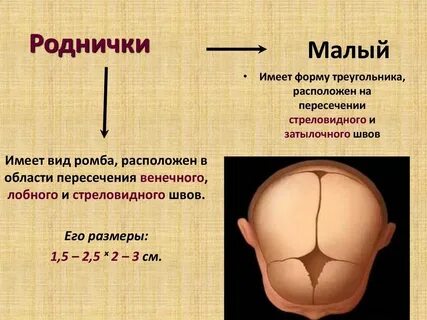 Количество зарасти
