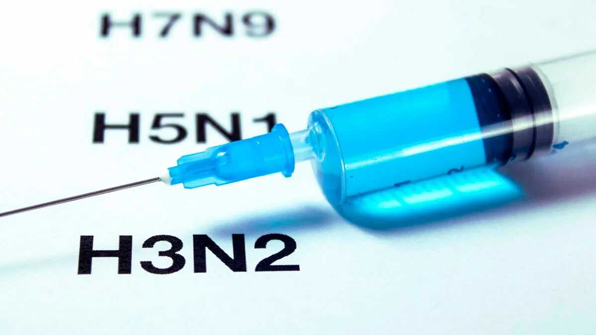 Грипп h3n2. Вирус гриппа h3n2. Штамм гриппа h3n2. H3n2 гонконгский грипп.