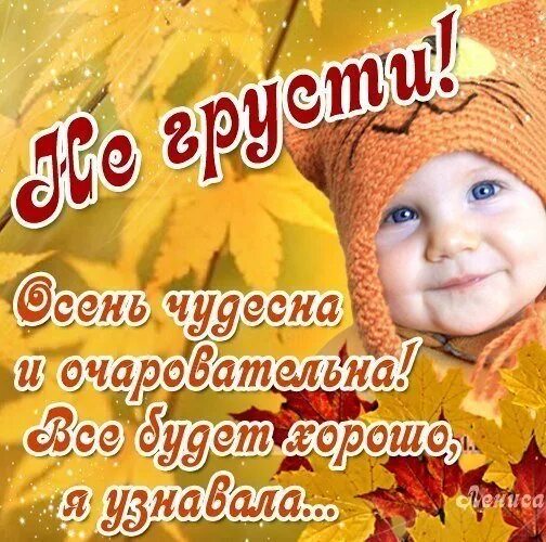 11 октября картинки красивые с пожеланиями. С первым осенним денечком. 11 октября картинки красивые с пожеланиями. Открытки с днём девочке. 11 октября картинки красивые с пожеланиями.