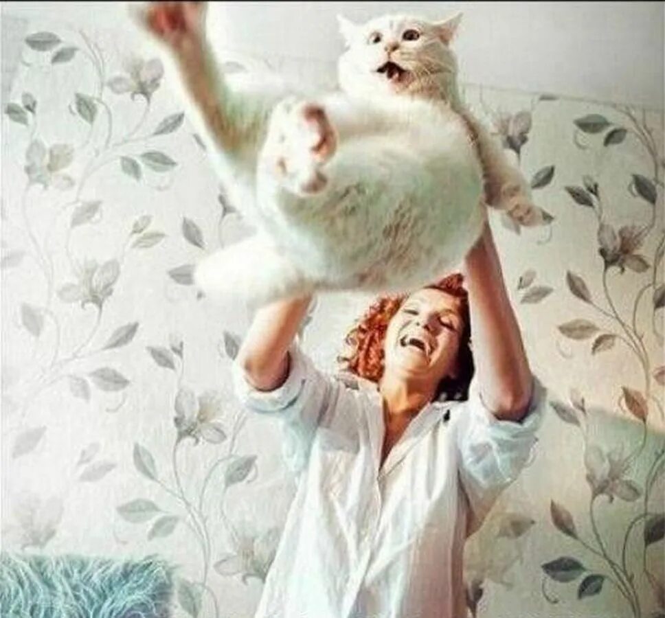 Но деваться в тот. Но деваться в тот