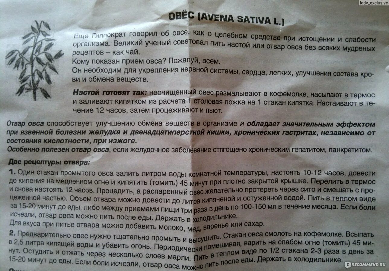 Сколько дней пьют овес. Как пить отвар овса. Как правильно пить отвар овса. Как принимать отвар овса. Отвар овса при заболевании печени.