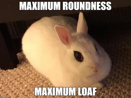 Round meme