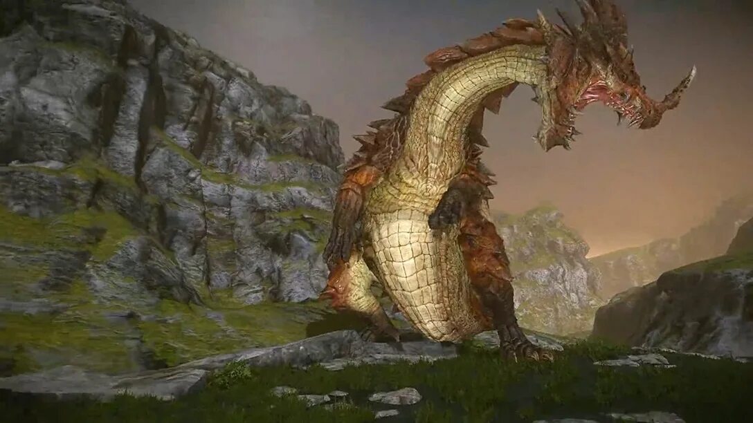 Old dragons net
