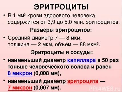 Средний диаметр эритроцитов