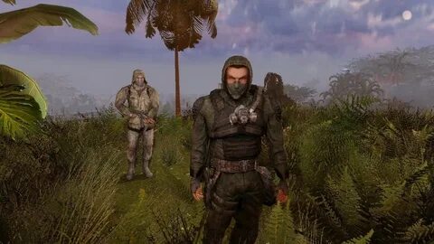 Stalker clan su