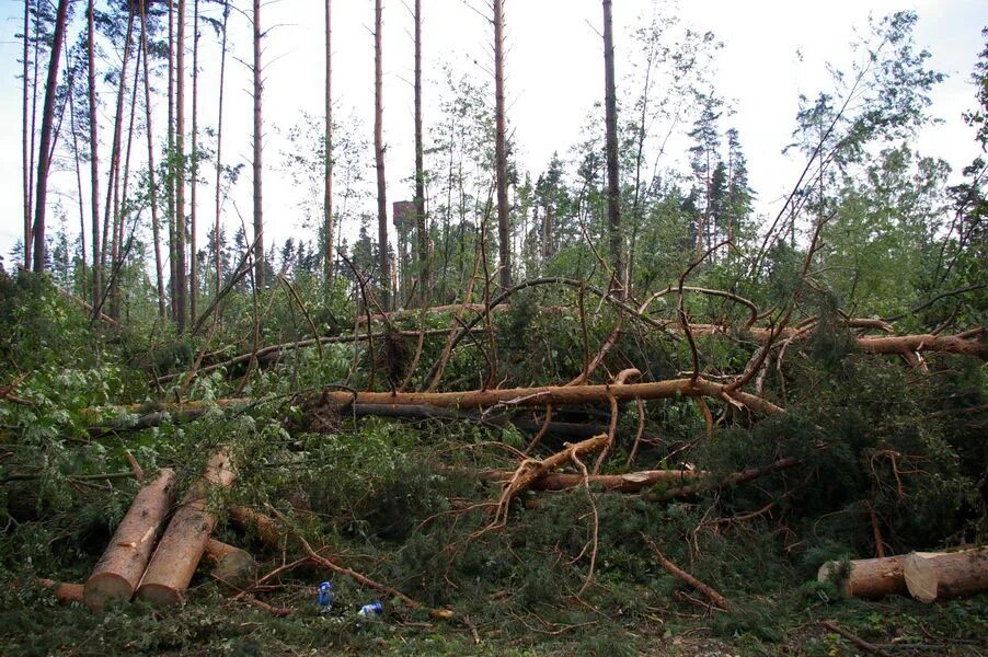 Подслушано орехово 67 км. Подслушано орехово 67 км. Сиверский. Подслушано в орехово 67-69. Орехово ленинградская область.