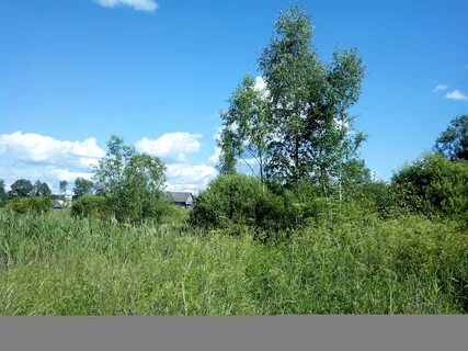 Голос за нижегородская
