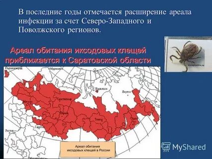Расширение за счет