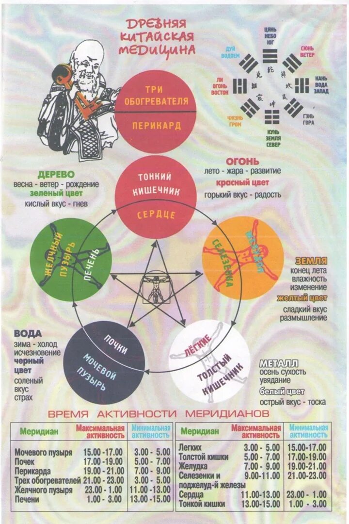 Часы активности меридианов. Китайские часы меридианов. Активность меридианов по часам. Время активности меридианов по часам.