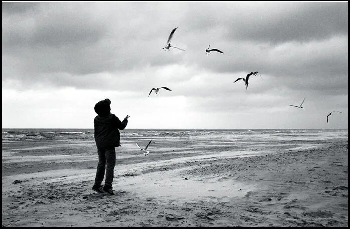 сова мальчик. мальчик и птица кто автор. птицы фото для детей. птицы для детей. птички для детей.