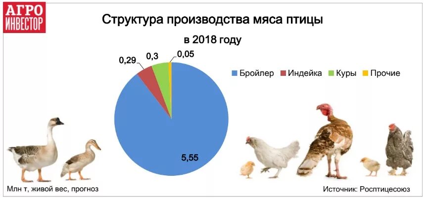 Структура птицеводства. Структура производства мяса птицы в РФ. Структура рынка мяса птицы. Производство мяса птицы.