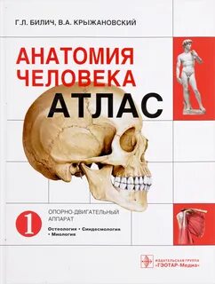 Билич атлас 2