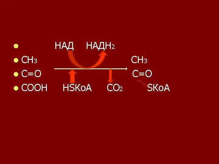 СН=сн2. Сн3сн2соон. Сн3-СН=СН-соон. Сн3.