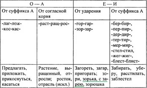 Правила 6 класс ладыженская