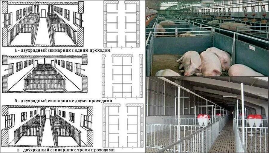 Свинарник размеры. Схема постройки свинарника. планы сараев для свиней. проект свинарника на 10 свиноматок. чертежи свинарника на 10 голов.