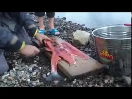 Как разделать горбушу на филе видео