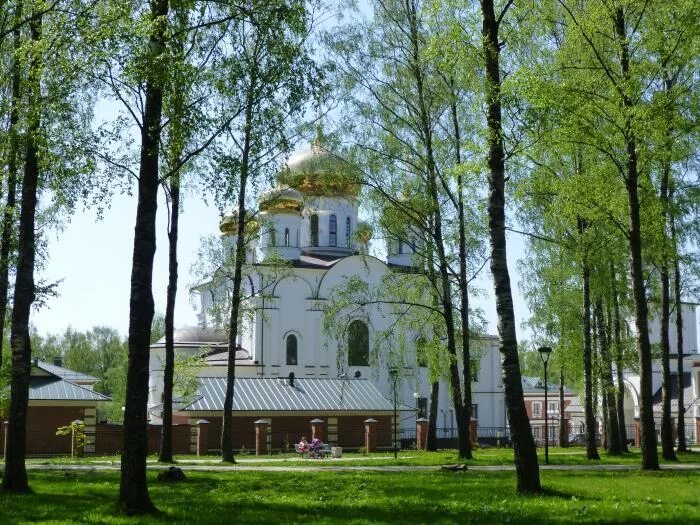 Храм на березовой роще. Макаринская роща череповец. макаринская роща череповец храм. церковь в заречье череповец. череповец вид храм макаринская роща.