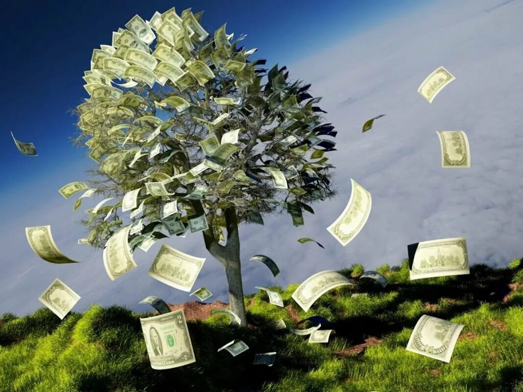 Достатка много. Дерево с деньгами. Деньги и природа. Денежное дерево с деньгами. Дерево из денег.