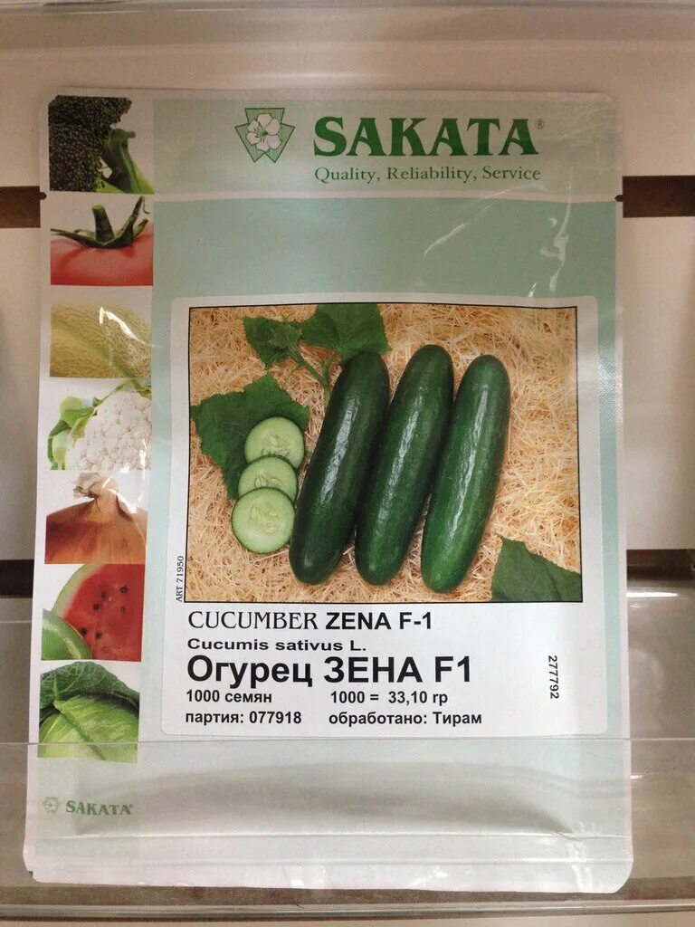 Sakata zena f1. Огурец зена описание отзывы. Огурец зена саката. Огурец зена описание отзывы. Огурец муссон f1.