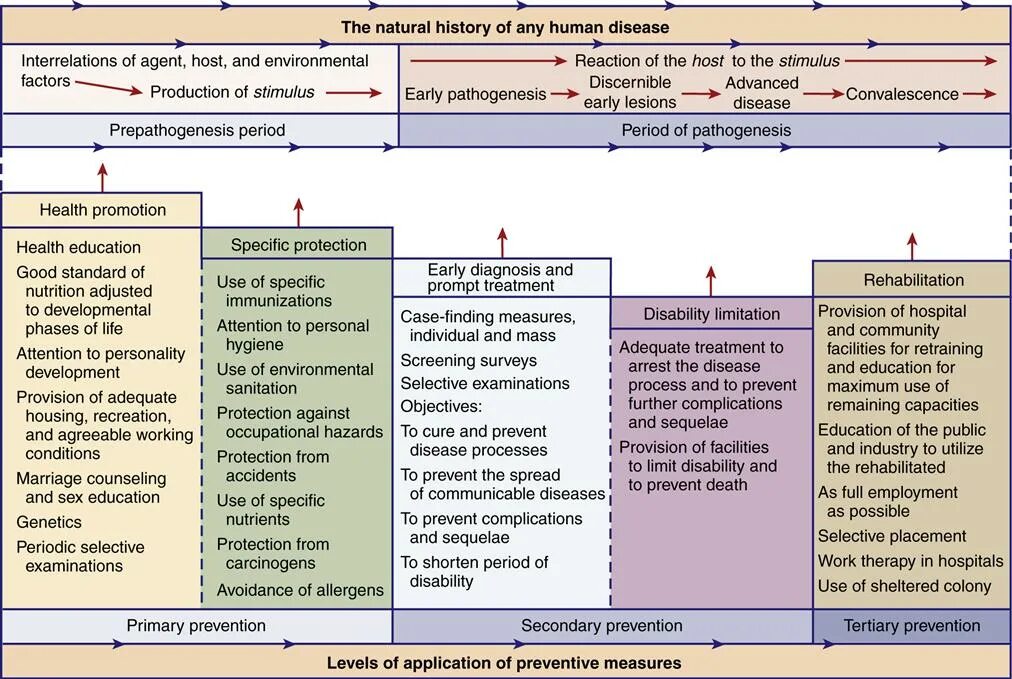Level of disease. Классы bsl. Level of disease. Epidemic definition. Epidemic definition.