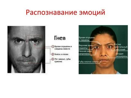Внешние проявления эмоций человека