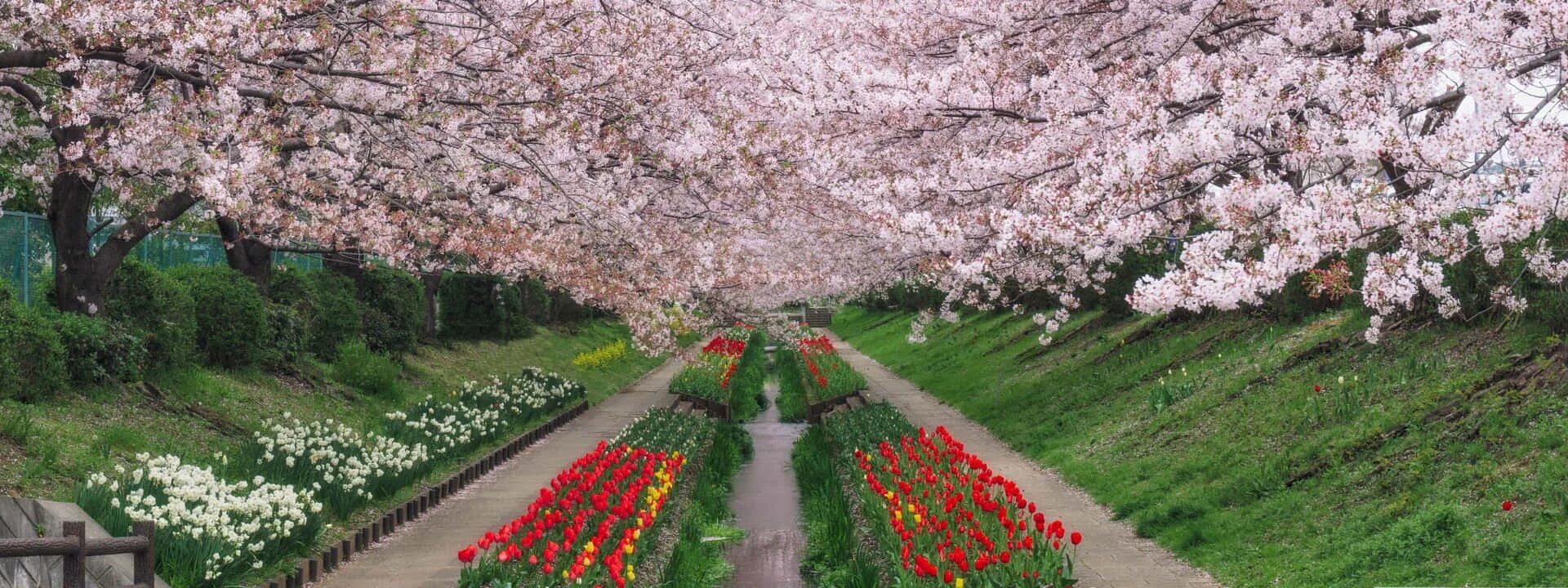 Spring scenes