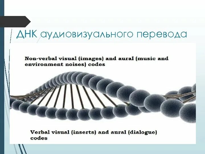 ДНК перевод. Как переводится ДНК. Как перевести ДНК. ДНК переводится расшифровывается. Dna перевод