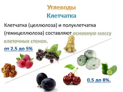 Овощи это белки или углеводы
