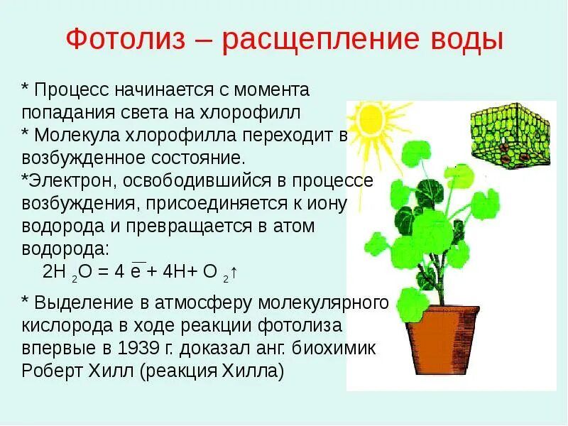 Фотолиз воды. Процесс фотолиза воды. Фотолиз это в биологии. Фотолиз это процесс. Распад воды