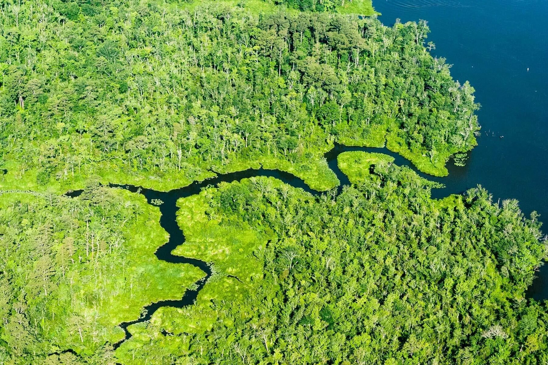 Трансграничных водотоков. Ледники памира таджикистан. Трансграничных водотоков. Река иртыш в павлодаре. Река ирты́ш в казахстане.