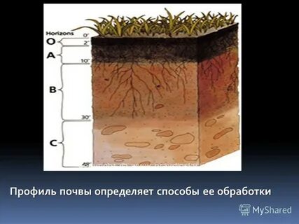 Слои почвы называют