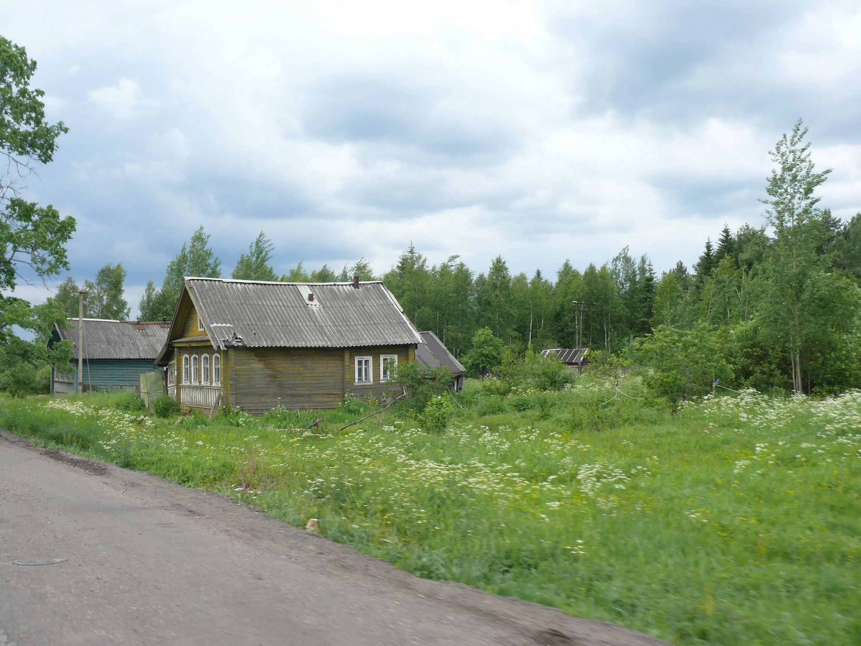 Горячего новгородская область. Деревня долгий мост Крестецкого района. Долгий мост (Новгородская область). Деревня долгий мост Новгородская область. Деревня Внуто Новгородская область.