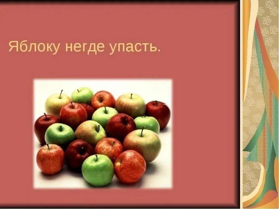 Яблоко от яблони недалеко падает значение пословицы. Яблоку негде упасть. Яблоку негде упасть фразеологизм. Яблоку негде упасть рисунок. Пословица яблоку негде упасть.