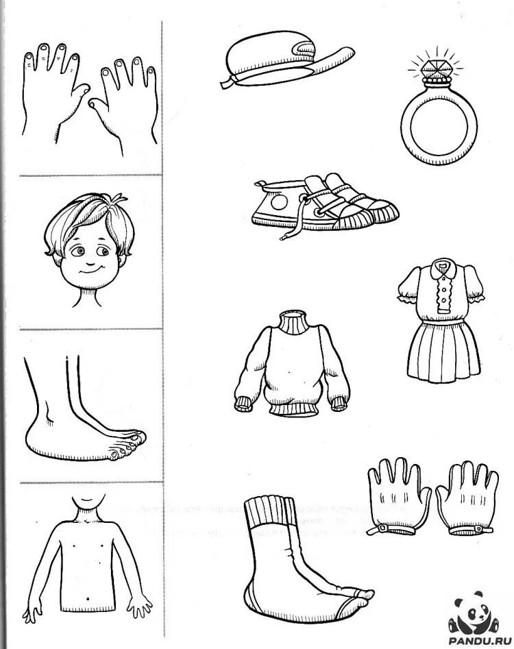 Задания по теме человек. Человек задания для дошкольников. Тело человека задания для дошкольников. Задания по теме человек. Части тела задания для детей.