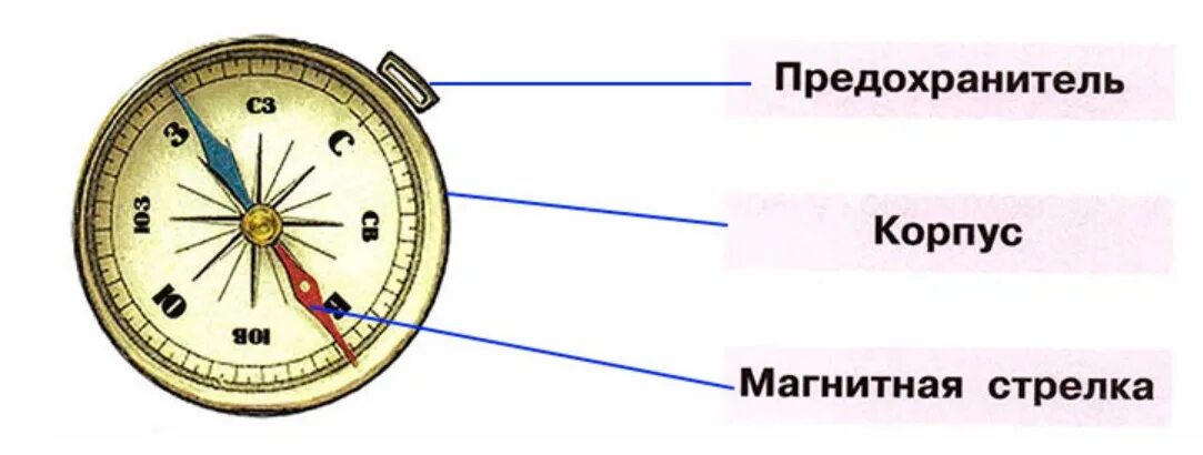Компас схема. Строение компаса. Компас 2 класс. Составные части компаса. Покажи где у компаса находится предохранитель