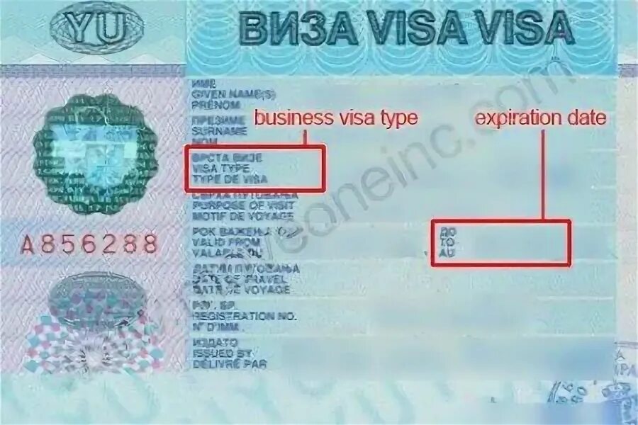 Сербия виза. Сербская виза. Виза в Косово. Сербия виза для россиян. Внж сербии 2024