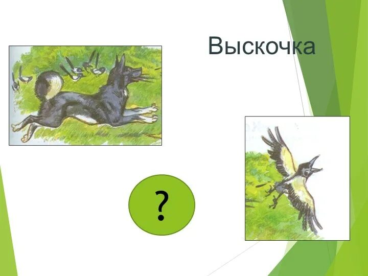 План выскочка 4 класс. План рассказа выскочка. Рисунок выскочка. План к рассказу выскочка 4 класс.