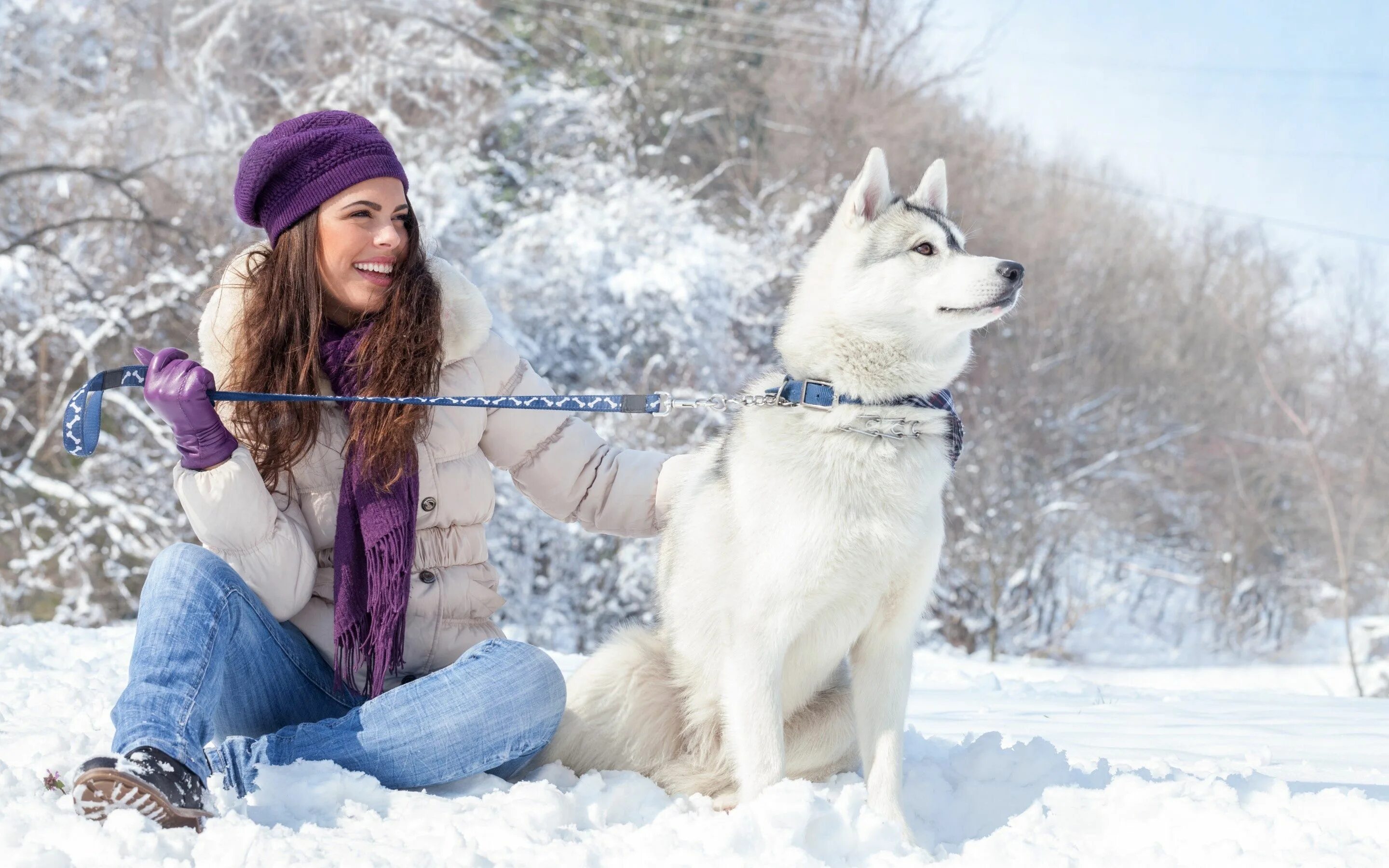 Woman 3 dog. Девушка с собакой зимой. Красивая девушка зима. Фотосессия с собакой. Девушка на зимнем фоне.