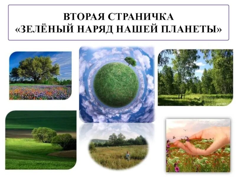 Лесное рейки. Слайды лес-зеленый наряд нашей планеты. Зеленая земля. Зеленая планета. Слайды лес-зеленый наряд нашей планеты.