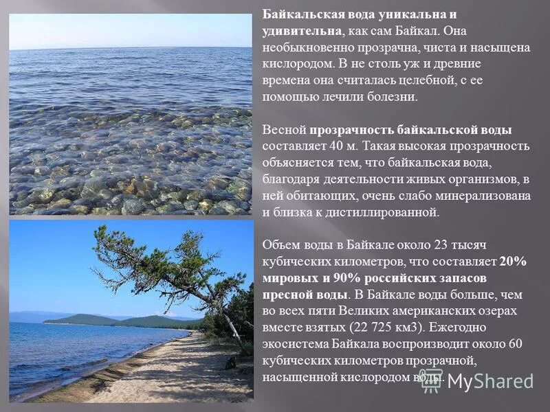 байкалин что это. байкалин что это. сухой экстракт шлемника байкальского. байкалин что это. байкалин что это.