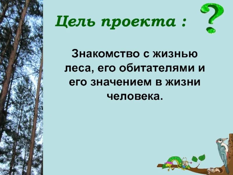 Жизнь леса 2 класс окружающий мир. Проект жизнь леса. Жизнь леса презентация. Цель проекта на тему жизнь леса. Проект жизнь леса 4 класс.