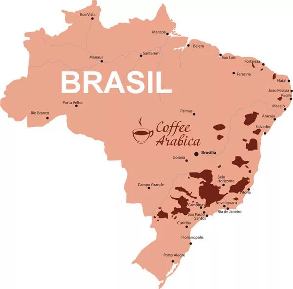 Штат в бразилии 5. Регионы Бразилии кофе. Кофейные регионы Бразилии. Карта Бразилии кофе. Кофейные плантации в Бразилии на карте.