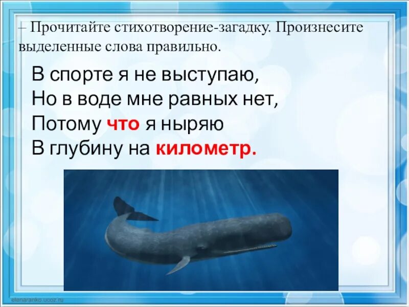 Окончание слова загадок. С Ю Я по воде скольжу отгадка. С Ю Я по воде скольжу ответ.