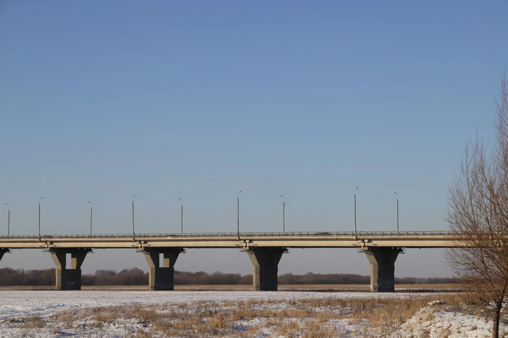 Проект моста через оку. Мост рязань цветной. Проект моста дублера через оку в рязани. Проект моста через оку. Трасса м12 вантовый мост.